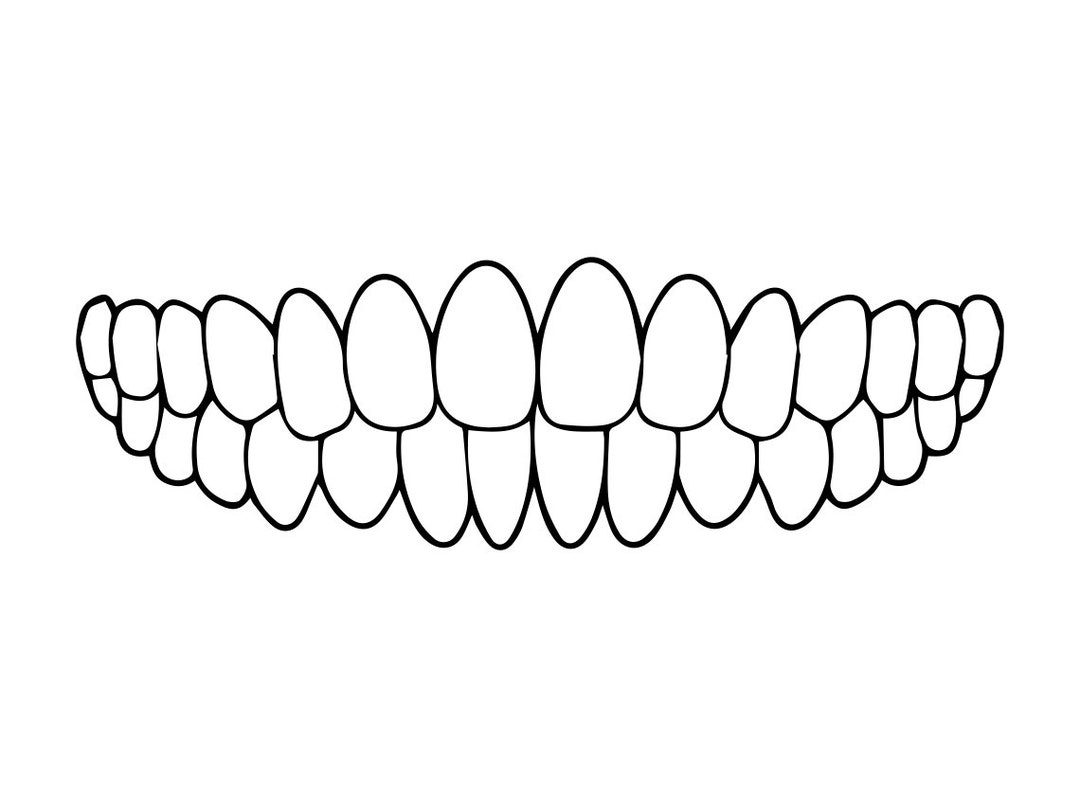 Teeth Outline SVG, Teeth Svg, Tooth Svg, Dentist Svg, Teeth Clipart