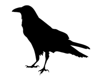 Raven Silhouette #2 SVG, Crow SVG, Raven SVG, Raven Clipart, Raven Files for Cricut, Raven Cut Files For Silhouette, Raven Dxf, Png, Eps