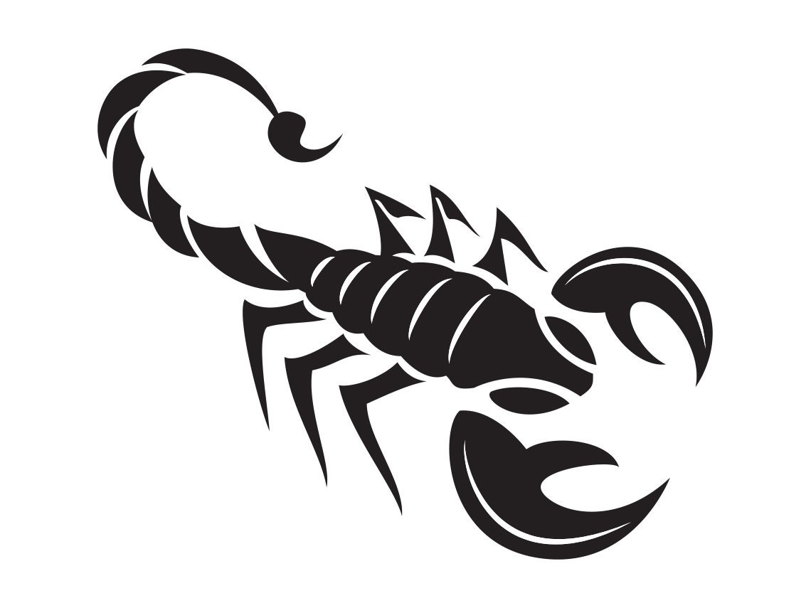 Scorpion SVG, Scorpion Clipart, Scorpion Files for Cricut, Scorpion Cut