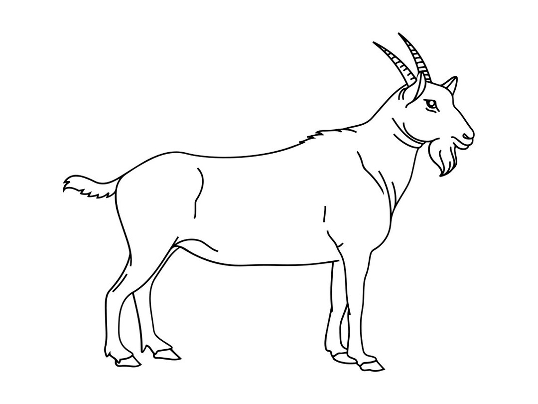 Goat Outline SVG Farm Animals Svg Goat Clipart Goat Files For Cricut 