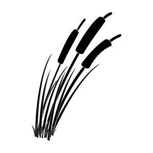 Bulrush Plant SVG, Cattail Svg, Bulrush Plant Clipart, Bulrush Plant Files for Cricut, Bulrush Plant Cut Files For Silhouette, Png, Dxf