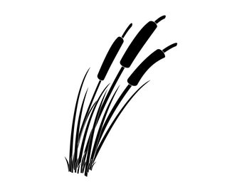 Bulrush Plant SVG, Cattail Svg, Bulrush Plant Clipart, Bulrush Plant Files for Cricut, Bulrush Plant Cut Files For Silhouette, Png, Dxf
