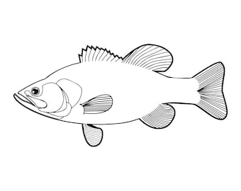 Fish Outline SVG, Fish Svg, Fishing SVG, Sea Bass Svg, Fish Clipart, Fish Files for Cricut, Fish Cut Files For Silhouette, Png, Dxf