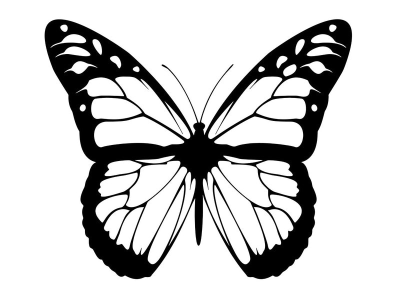 Monarch Butterfly Outline SVG, Butterfly SVG, Monarch Butterfly Clipart