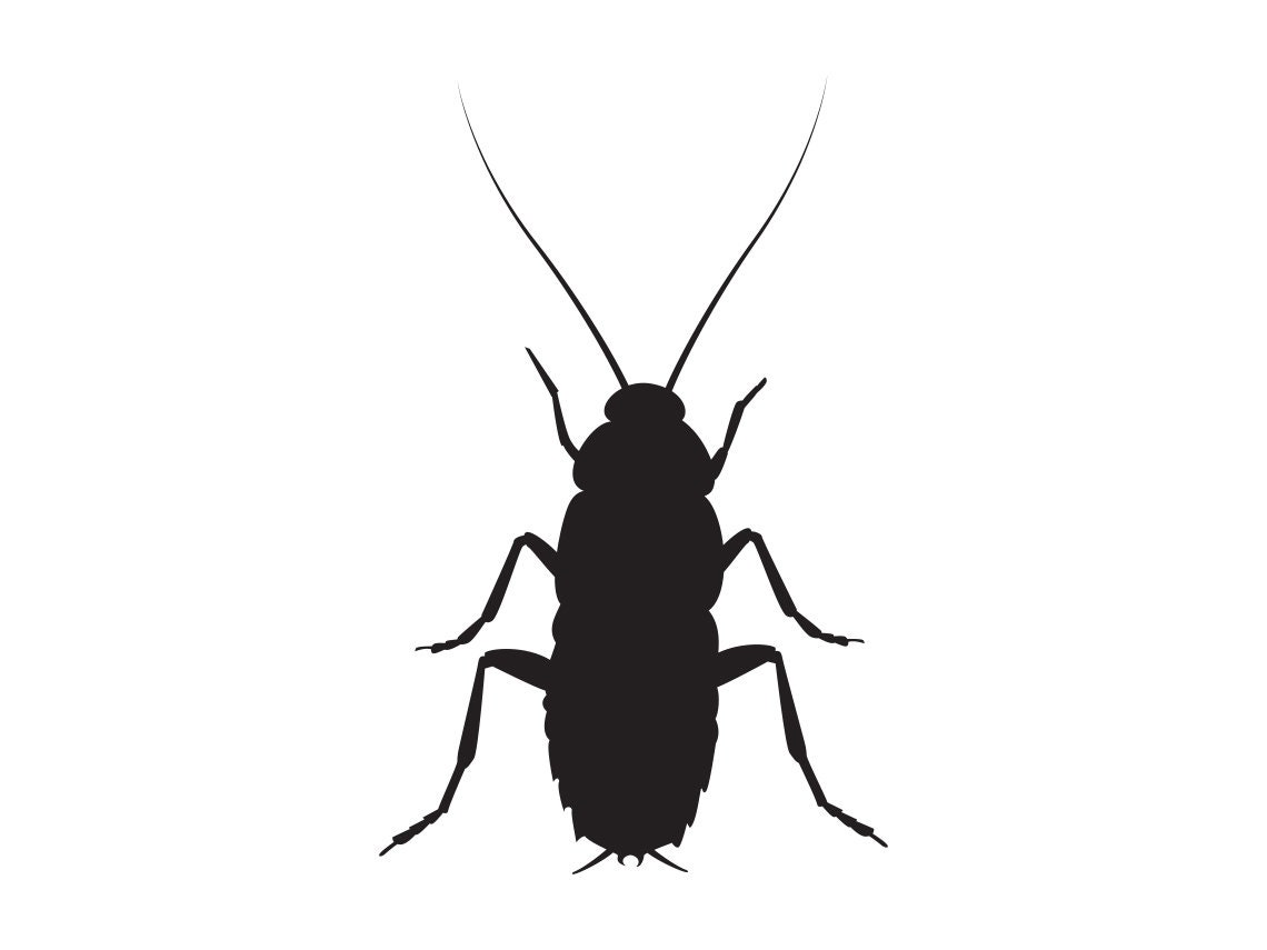 Cockroach Silhouette SVG Cockroach Svg Cockroach Clipart - Etsy
