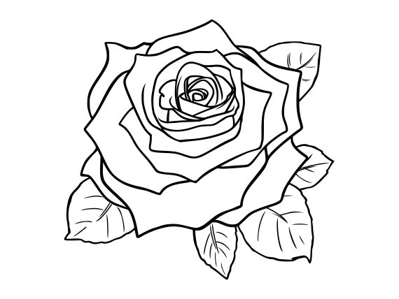 Rose Outline SVG, Flower Outline SVG, Rose Outline Clipart, Rose Outline Files for Cricut, Cut Files For Silhouette, Png, Dxf,