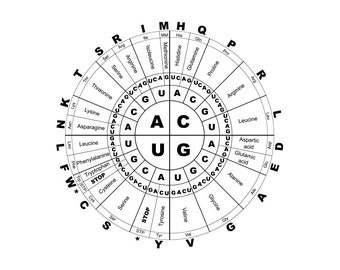 Genetische Code SVG, Genetica Svg, DNA Svg, Genetische Code Clipart, Genetische Code Files voor Cricut, Cut Files Voor Silhouette, Png, Dxf