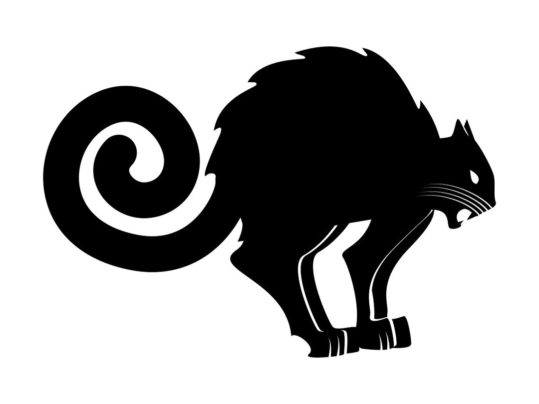 Scared Cat SVG Angry Cat Svg Scared Cat Clipart Scared Cat - Etsy