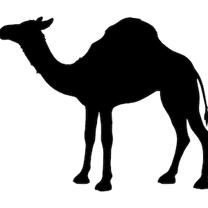 Camel #2 SVG, Camel Svg, Camel Clipart, Camel Files for Cricut, Camel Cut Files For Silhouette, Png, Dxf