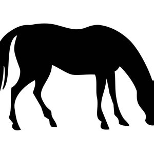 Simple Horse Colt Grass Sniffing Eating Mare Foal Head Horse Baby Farm  Animal Feed Cut Sign Clipart Digital Download Eps Dxf Png Jpeg Svg 