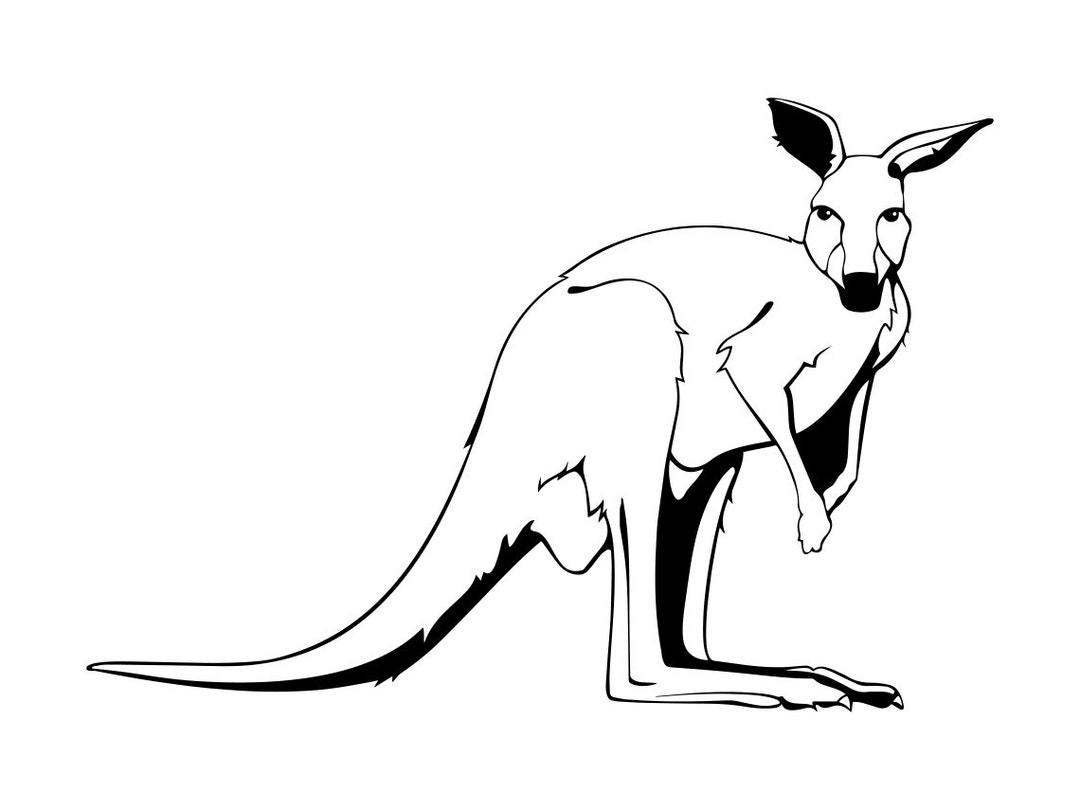 Kangaroo Outline SVG, Kangaroo SVG, Kangaroo Clipart, Kangaroo Files