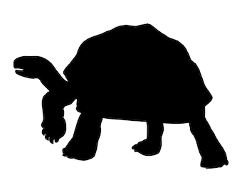 May include: Black silhouette of a tortoise walking on a white background.
