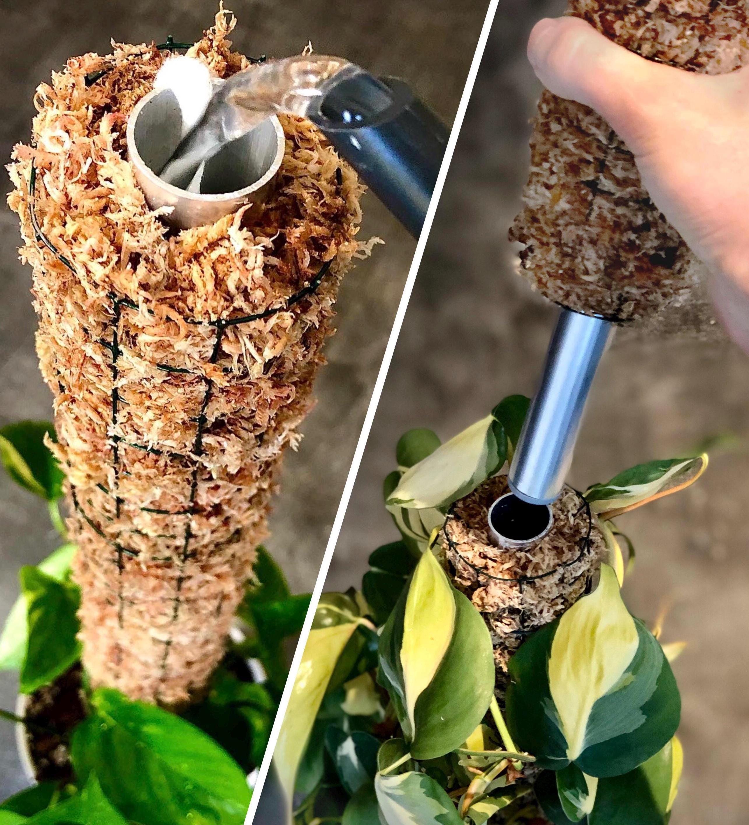 Extendable Moss Pole With Irrigation System Sphagnum Moss Self