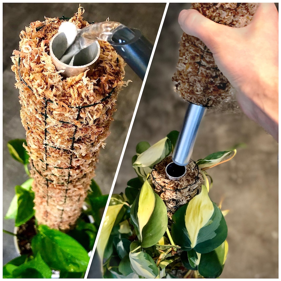 Extendable Moss Pole With Irrigation System Sphagnum Moss Selfwatering