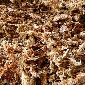 Sphagnummos Turfmos Wateropslag Bodemverbeteraar voor kamerplanten Terrariums Orchideeën Philodendron Monstera Hoya Aronskelken Planten