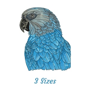 Parrot Bird Embroidery Design, Machine Embroidery Pattern - Instant Download