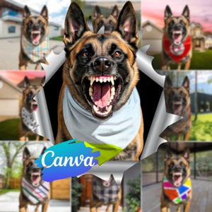 Hunde Bandana Mockup Bundle für Canva Easy Use Bandana Kragen ziehen Drop PNG Transparent Pet Bandana Kragen Mockup mit Hund