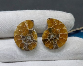 Natural Ammonite Fossil Cufflinks And Tie Pi  925 Sterling Silver, Handcrafted
