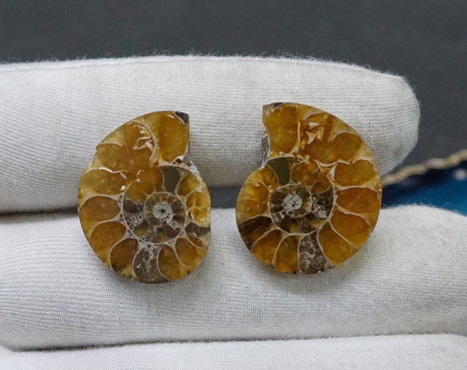 Natural AMMONITE FOSSIL 925 Starling Silver Handcrafted Cufflinks Lite Weight Hand Made Cufflinks Gift for Dade Groom Best Boy  With Unique