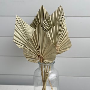 May include: A bouquet of dried palm leaves in a clear glass vase. The leaves are a light beige color and are arranged in a fan shape.