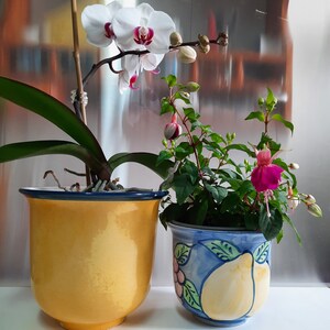 Peut inclure: Deux plantes en pot, l'une avec des orchidées blanches et l'autre avec des fleurs de fuchsia roses. Le pot d'orchidée est jaune avec une bordure bleue, et le pot de fuchsia est bleu avec des motifs floraux blancs et jaunes.