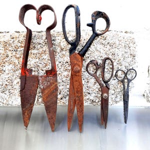 May include: A collection of antique scissors and shears, displaying a range of sizes and styles. The tools have a weathered, rusty finish, with some featuring black handles and red detailing. The assortment includes large shears and smaller scissors.
