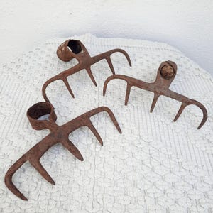 May include: Three rusty metal garden rakes with wooden handles. The rakes have five tines each and are arranged in a row on a white fluffy surface.