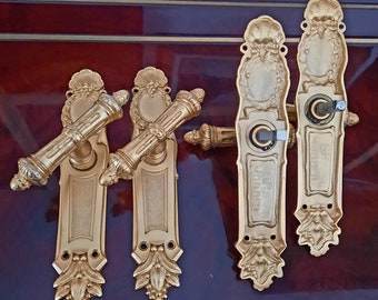 Une paire de superbes plaques de porte rococo en laiton antique avec poignées de porte assorties. Trois grandes charnières de porte en laiton.