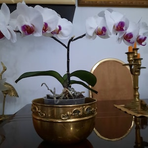 Two antique Portuguese brass pots. Brass flower pot. Decorative pot made of brass. Flower pot made of brass.