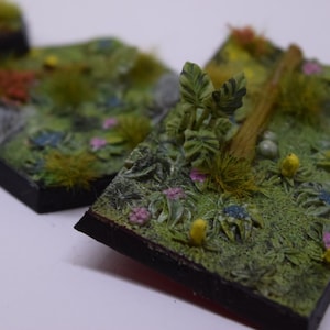 Forest bases various sizes
