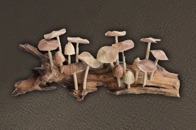 Puede incluir: Una escultura de madera a la deriva con setas talladas en tonos marrones y beige.