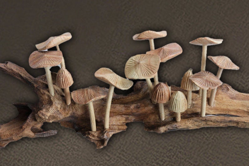 Puede incluir: Una escultura de madera de un grupo de setas que crecen en un trozo de madera flotante. Las setas est&aacute;n talladas con detalle y tienen un color marr&oacute;n natural.