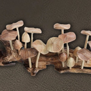 Wooden Mushroom Wall Art, Mushroom Wall Decor, Vintage Wall Decor, Handmade Home Decor, Garden Decor, Art, Birthday Gift, Christmas Decor