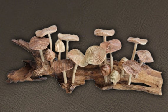 Wooden Mushroom Wall Art, Mushroom Wall Decor, Vintage Wall Decor, Handmade Home Decor, Garden Decor, Art, Birthday Gift, Christmas Decor