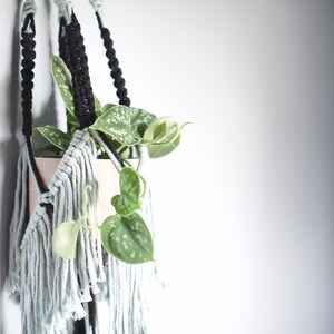 May include: A macrame plant hanger with long, light blue tassels and black cords. A potted plant with green leaves hangs in the macrame.