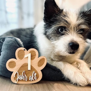 Hund Geburtstag Tafel. Erster Geburtstag Welpe. Fotorequisite Hunde Geburtstag. Geburtstagsschild Haustier. Meilensteinkarte Hund 1 Jahr