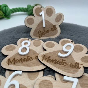 Meilensteinkarten Welpe Hund. Monatskarten Holz Acryl Welpe. Foto Requisite Haustier Holz. Erstes Jahr Hund Erinnerung. Katze Meilensteine