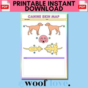Mapa de piel/cuerpo canino imprimible (EDICIÓN ARCO IRIS) / Plantilla móvil de peluquería canina / Formularios comerciales de peluquería canina / Formulario de registro de peluquería canina / Piel