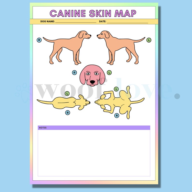 Printable Canine Body/skin Map RAINBOW EDITION Mobile Dog Etsy