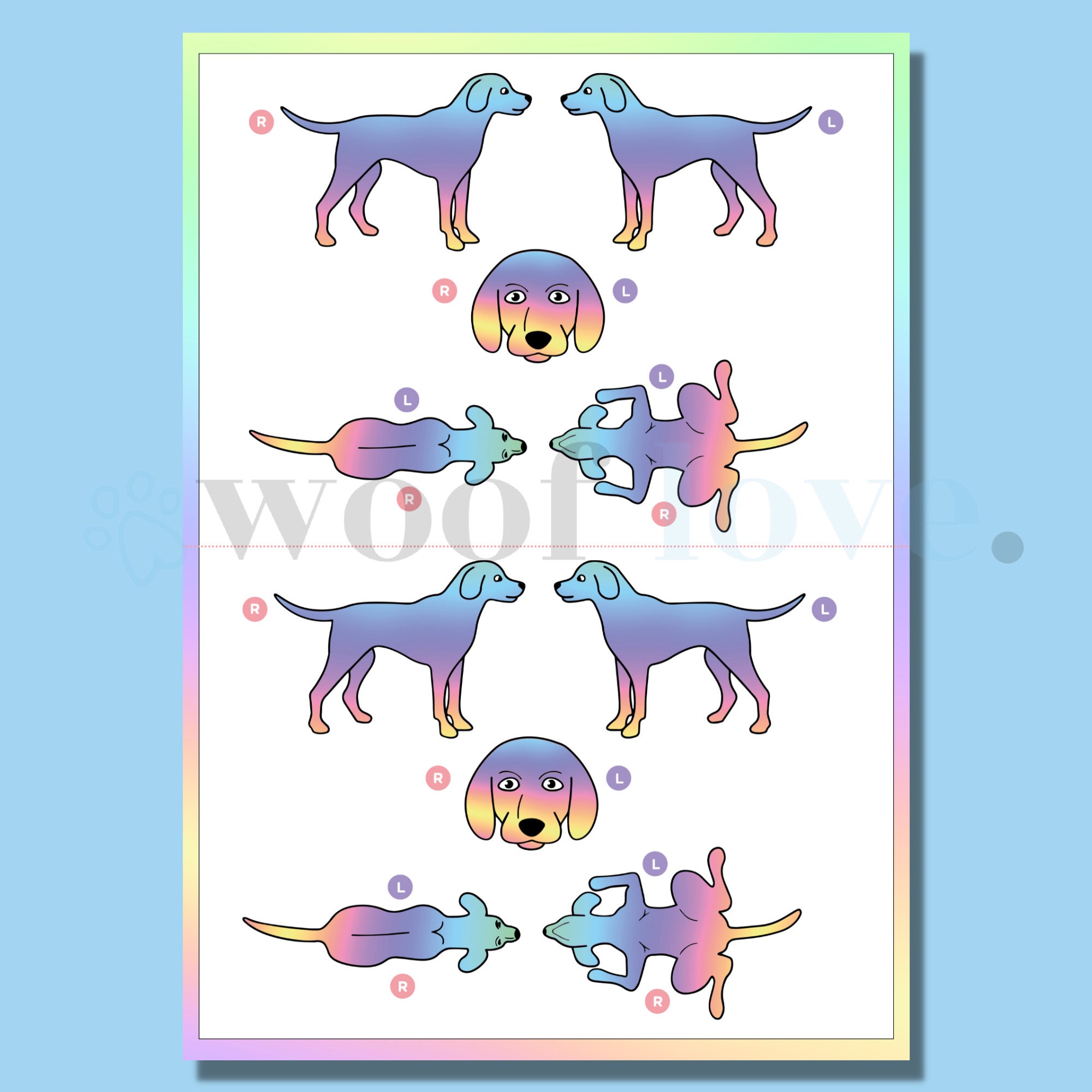 Printable Canine Body Skin Map (RAINBOW EDITION) | Dog Grooming ...