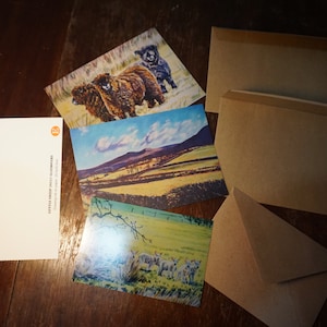 3 cartes postales avec enveloppes