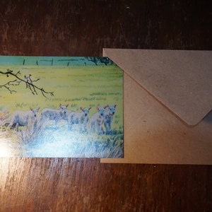 Carte postale des petits agneaux