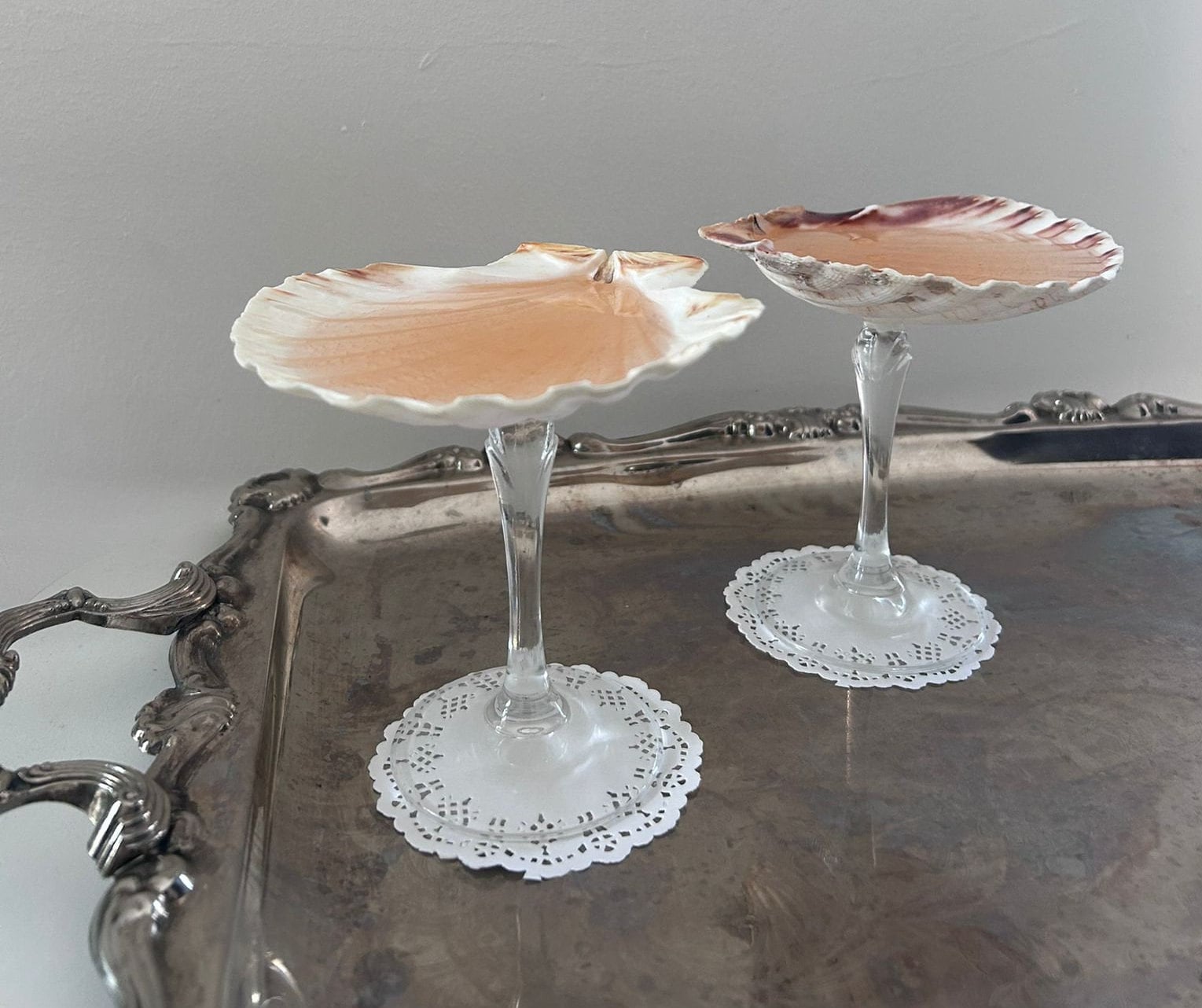 Seashell Martini Glasses Etsy