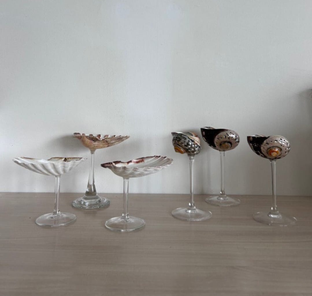 Seashell Martini Glasses Etsy