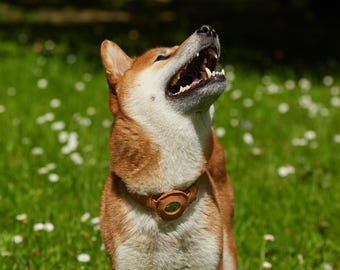 Custom Crazy Horse Leather Dog Collar: with AirTag Holder – Engraved Name, Solid Metal Hardware