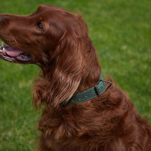 Personalizable Dog Collar Compatible with Apple AirTag, AirTag Collar, airtag dog collar, big dogs collars, airtag collar holder