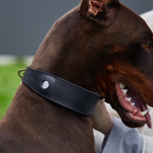 Personalized Leather AirTag Dog Collar, AirTag Dog Collar, Collar for Big Dogs with Airtag Holder, Customized Airtag Dog Collar