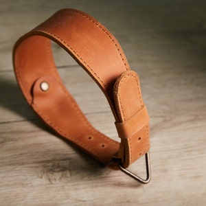 Personalized leather dog collar with AirTag holder - special gift for your favorite pet | Custom leather dog collar with AirTag case