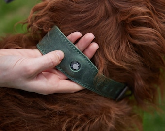 Op de afbeelding: Een donkergroene leren hondenhalsband met een ronde uitsparing voor een trackingapparaat. De halsband heeft zichtbare stiksels langs de randen en zit om de nek van een hond met lang, golvend, roodbruin haar.