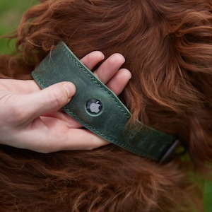 Personalized Leather Dog Collar with AirTag Holder, Personalized Dog Collar, Genuine Leather Dog Collar, Personalized gift, Leather gifts